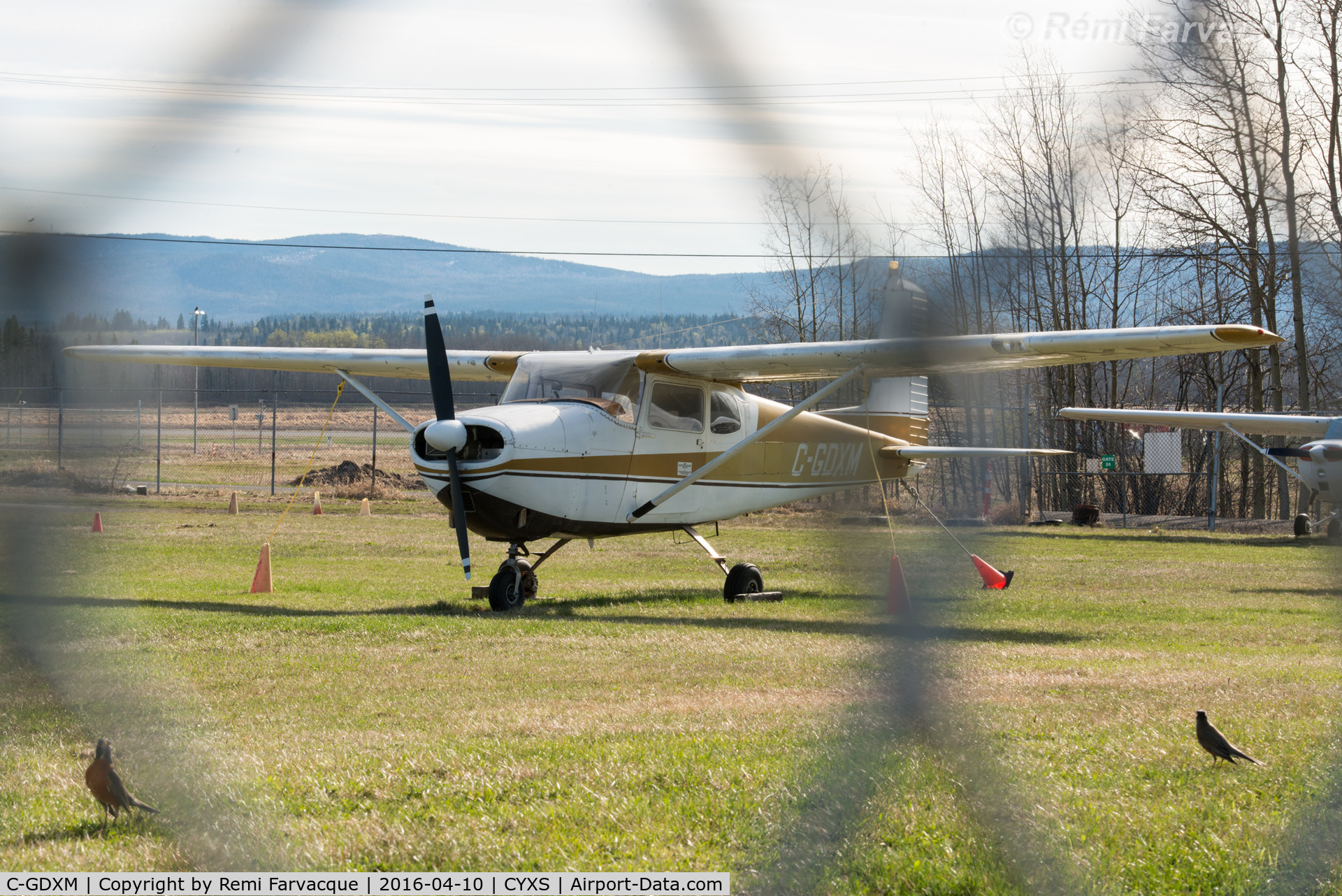 C-GDXM, 1958 Cessna 175 Skylark C/N 55296, Parked south of main terminal building.