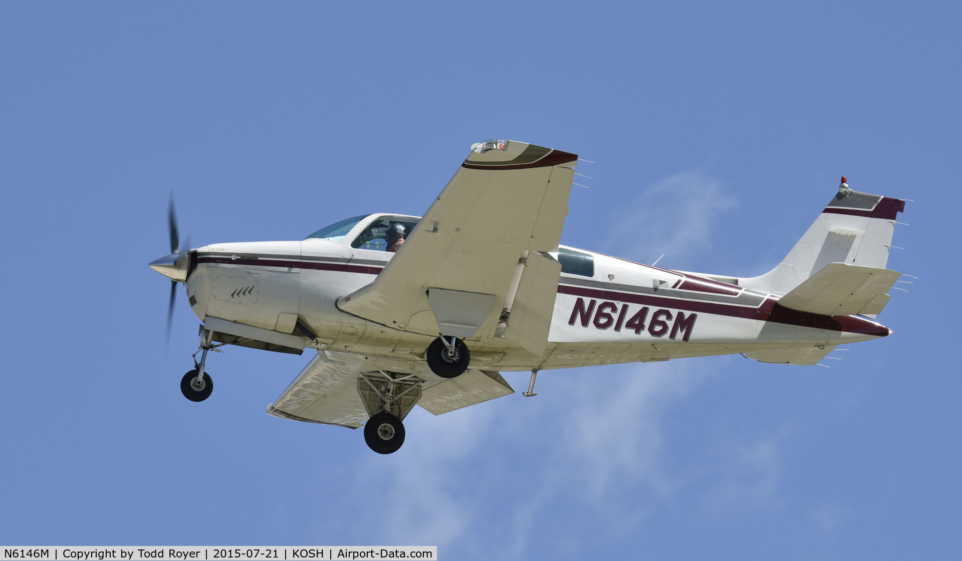 N6146M, 1981 Beech A36 Bonanza 36 C/N E-1959, Airventure 2015