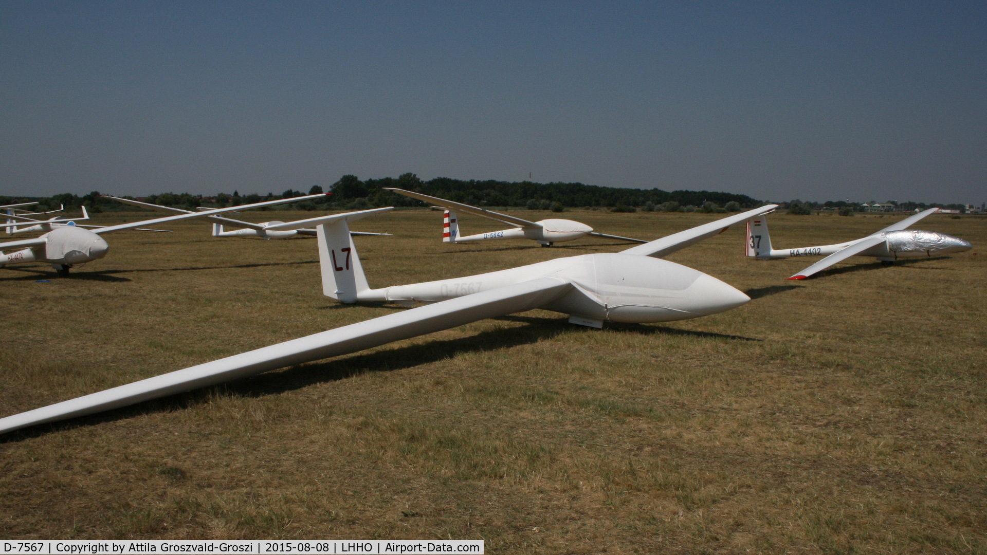 D-7567, 1978 Schleicher ASW 19B C/N 19134, Hajdúszoboszló Airport, Hungary - 60. Hungary Gliding National Championship and third Civis Thermal Cup, 2015