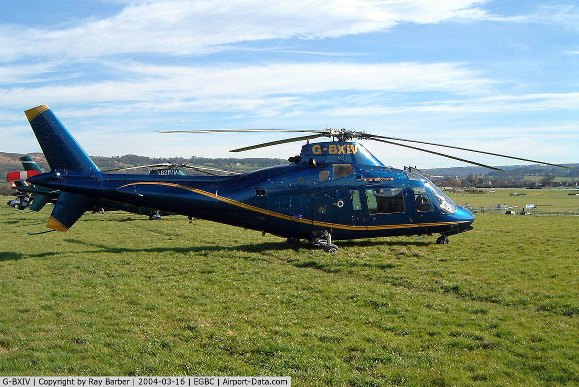G-BXIV, 1978 Agusta A-109A C/N 7135, Agusta A-109A [7135] (Hele-Tele Ltd) Cheltenham Racecourse~G 16/03/2004