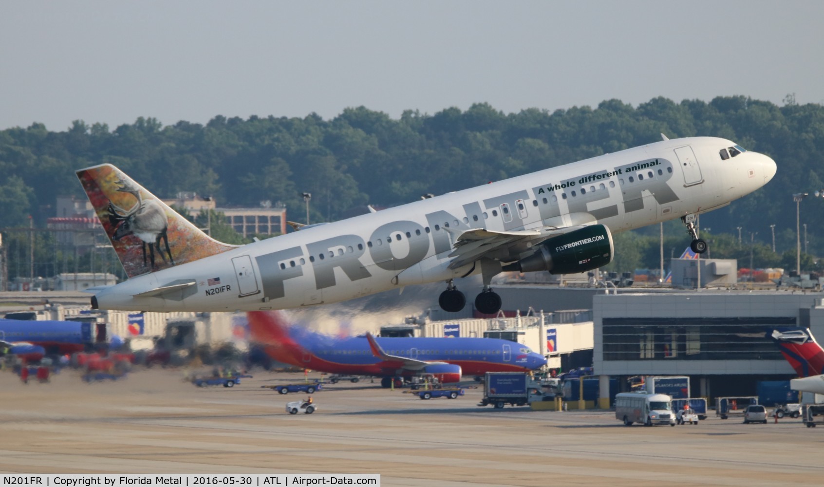 N201FR, 2008 Airbus A320-214 C/N 3389, Yukon the Caribou