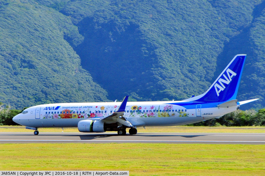 JA85AN, 2016 Boeing 737-800 C/N 62640, Flower Power, landing at Hachijojima