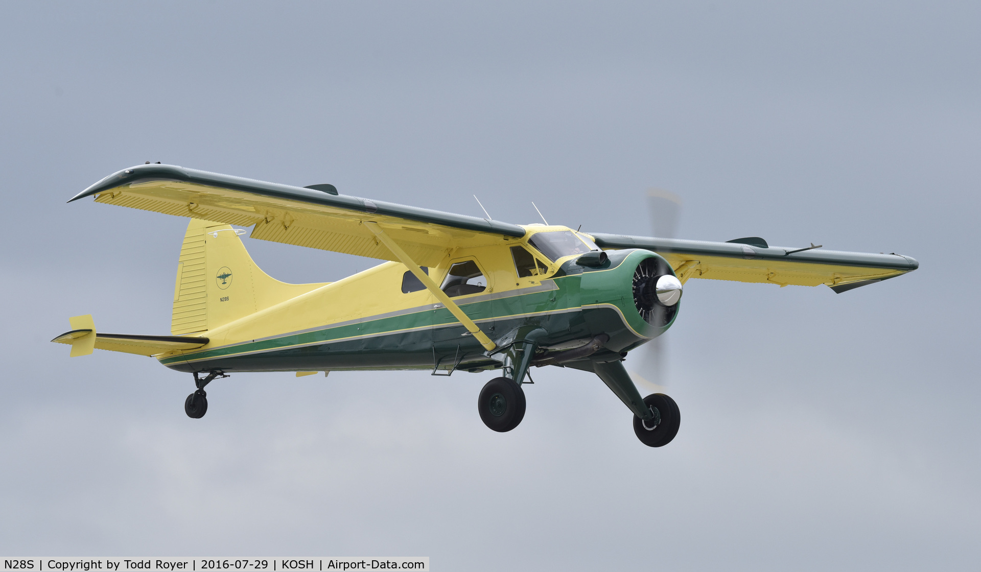 N28S, 1955 De Havilland Canada DHC-2 Beaver Mk.I (L20A) C/N 855, Airventure 2016