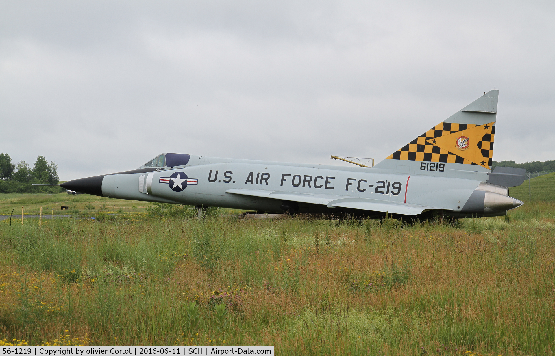 56-1219, 1956 Convair F-102A Delta Dagger C/N 8-10-351, in the weeds
