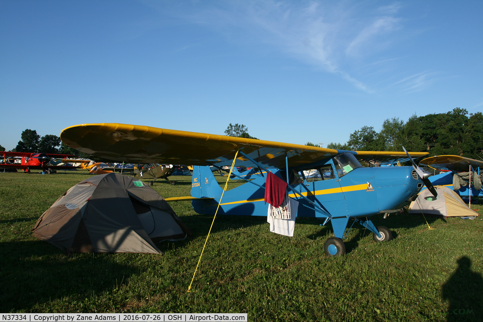 N37334, 1941 Interstate S-1A Cadet C/N 177, At the 2016 EAA AirVenture - Oshkosh, Wisconsin