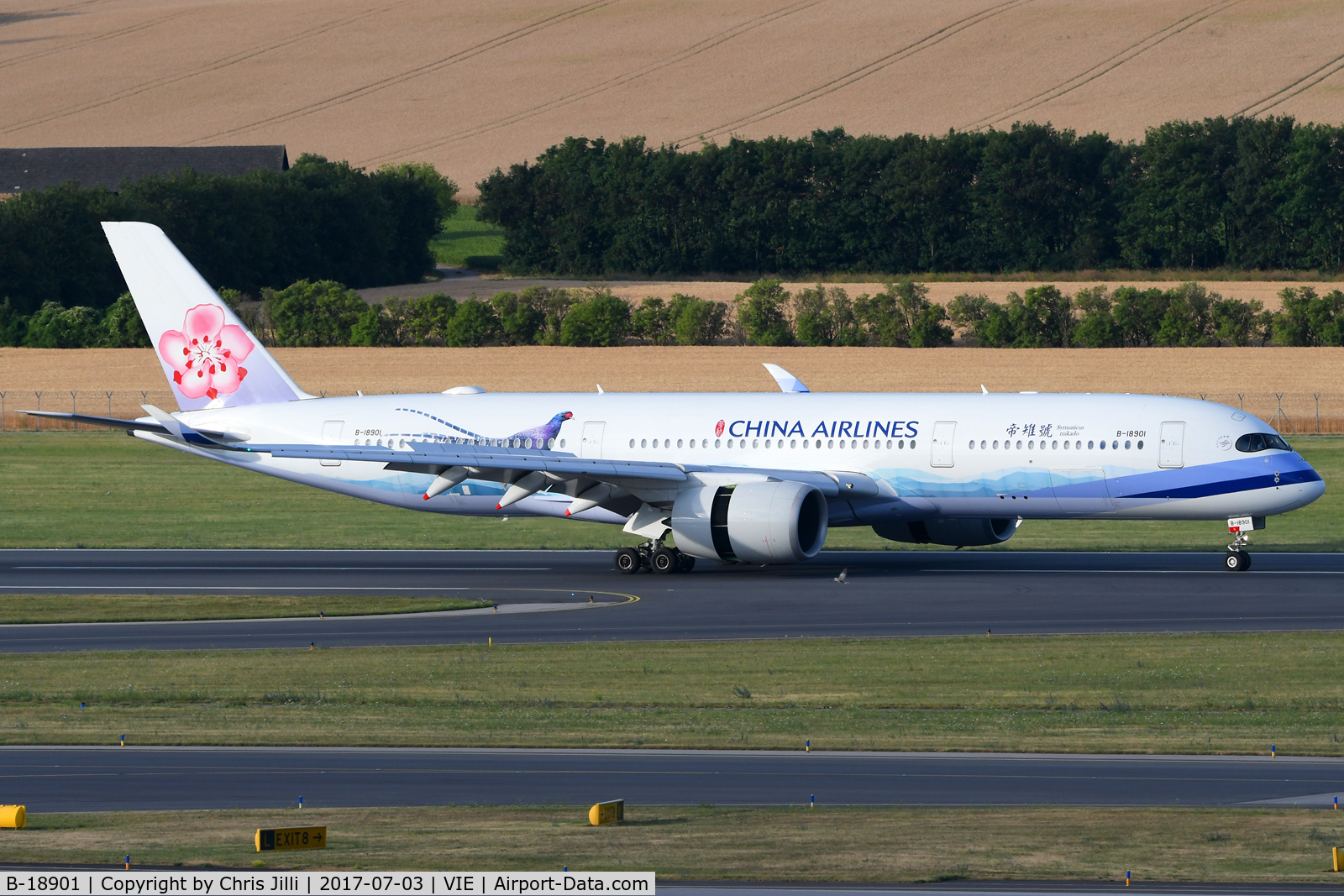 B-18901, 2016 Airbus A350-941 C/N 049, China Airlines