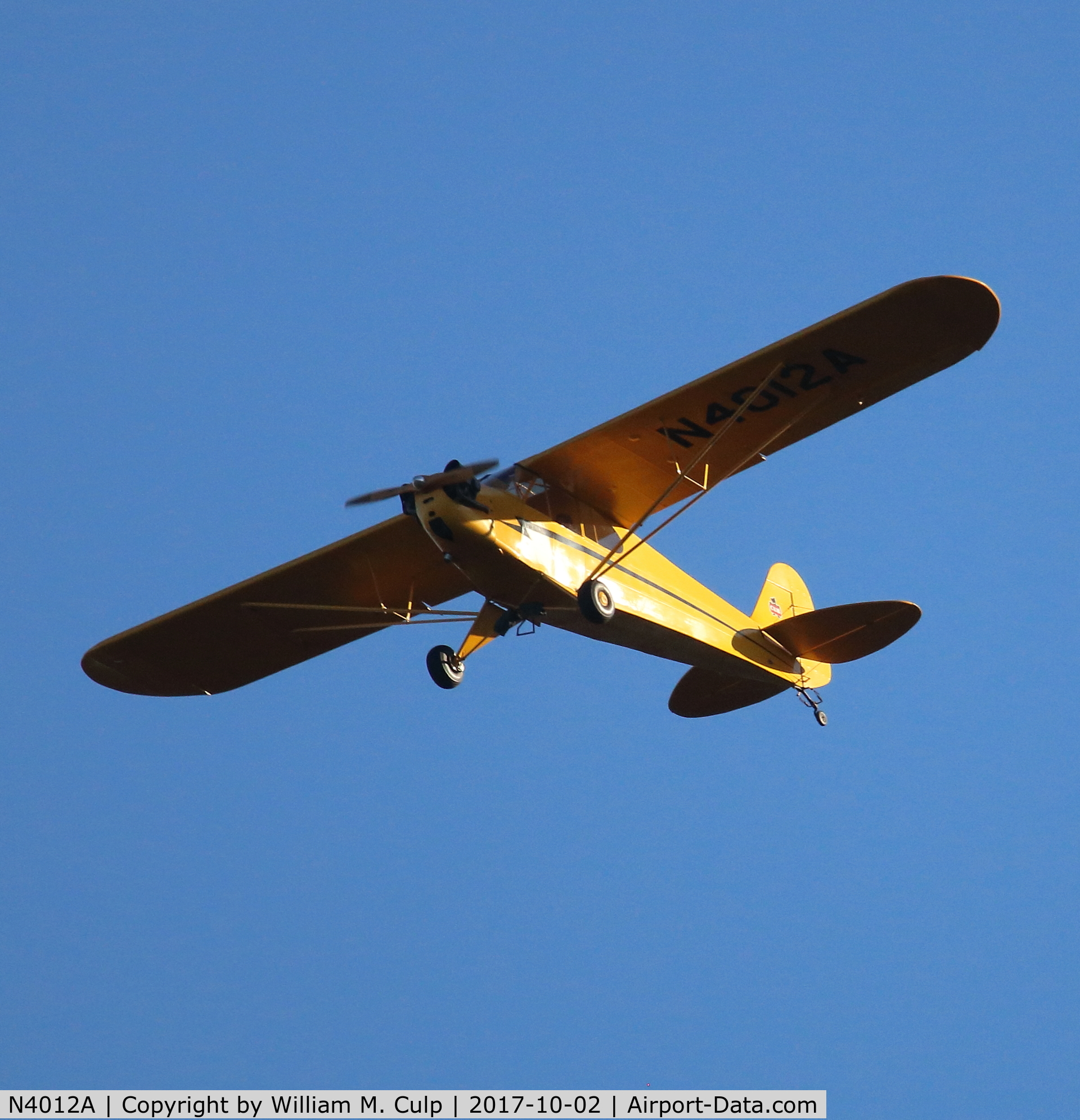 N4012A, 1943 Piper J3C-65 Cub Cub C/N 43-1438, I seen it flying over Peace Valley Park, Doylestown Pa.