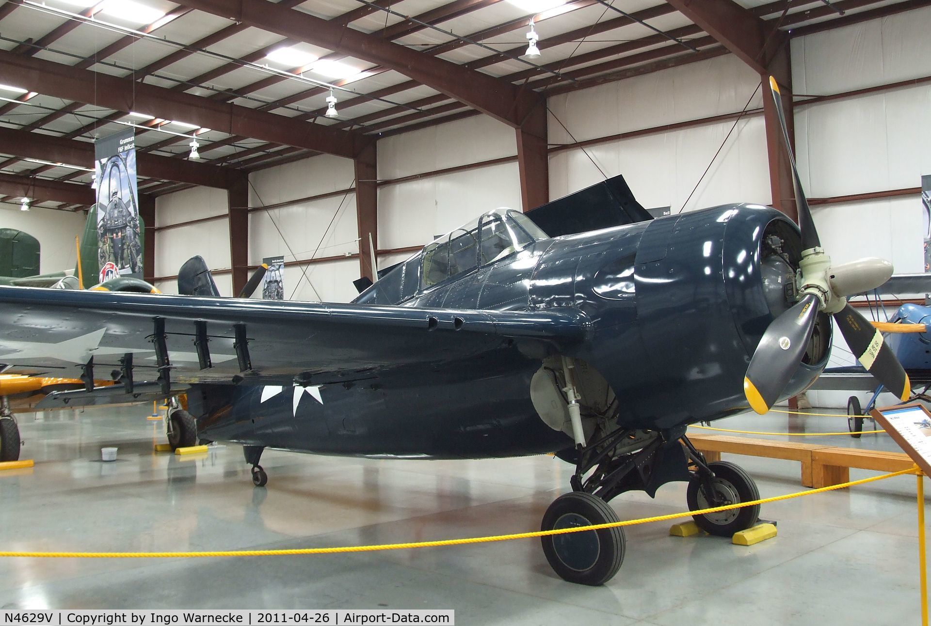 N4629V, General Motors (Grumman) FM-2 Wildcat C/N 5618, Grumman (General Motors) FM-2 (F4F) Wildcat at the Yanks Air Museum, Chino CA