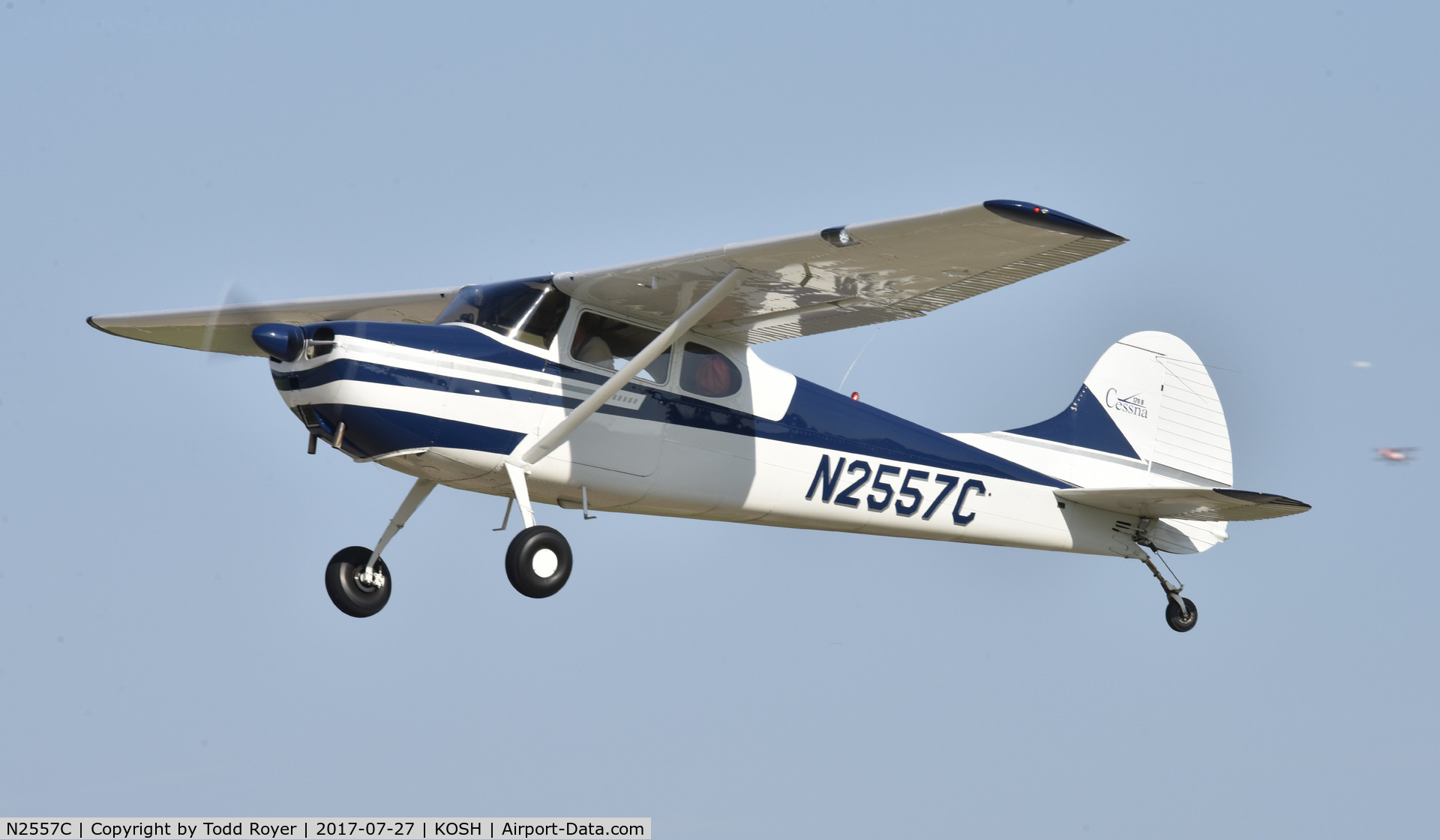 N2557C, 1954 Cessna 170B C/N 26201, Airventure 2017
