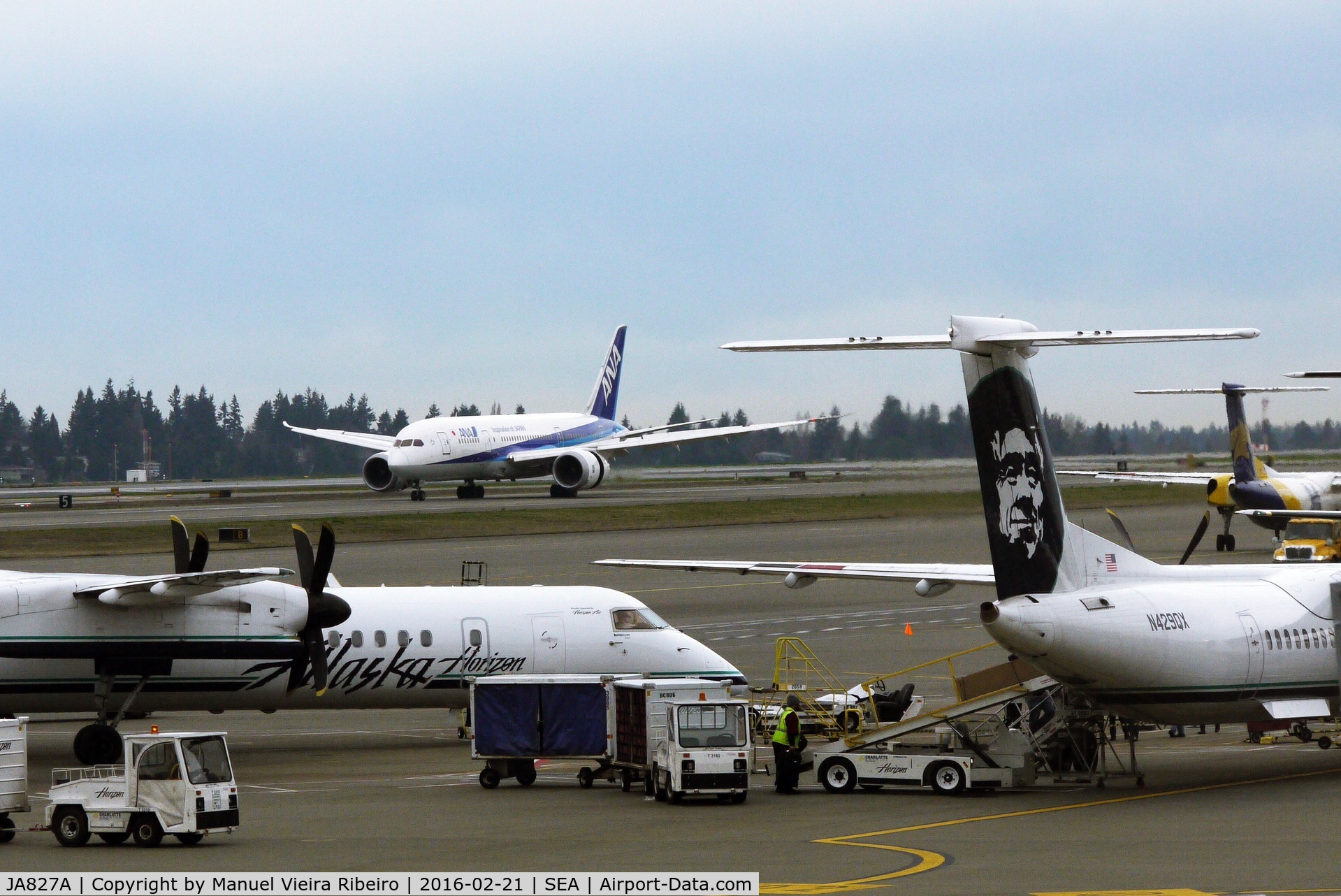 JA827A, 2013 Boeing 787-8 Dreamliner C/N 34509, Arrival at SeaTac