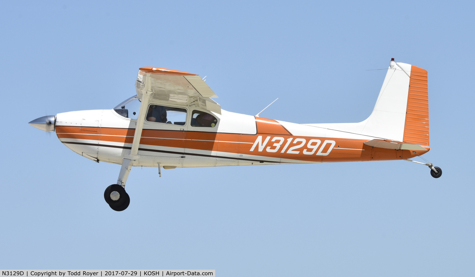 N3129D, 1955 Cessna 180 C/N 31927, Airventure 2017
