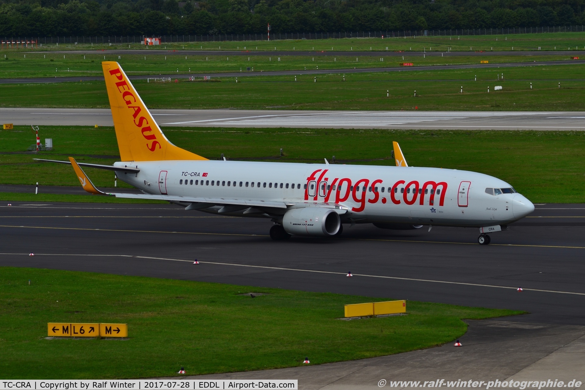 TC-CRA, 2015 Boeing 737-8H6 C/N 41769, Boeing 737-8H6 - H9 PGT Pegasus Airlines - 41769 - TC-CRA - 28.07.2017 - DUS