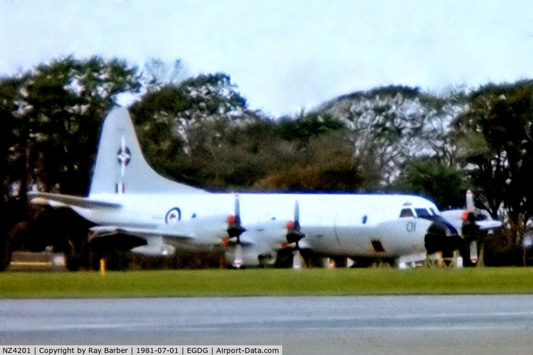 NZ4201, 1966 Lockheed P-3K Orion C/N 185-5190, NZ4201   Lockheed P-3K Orion [5190] (Royal New Zealand Air Force) RAF St Mawgan-Newquay~G 01/07/1981. From a slide . Not the best of images.
