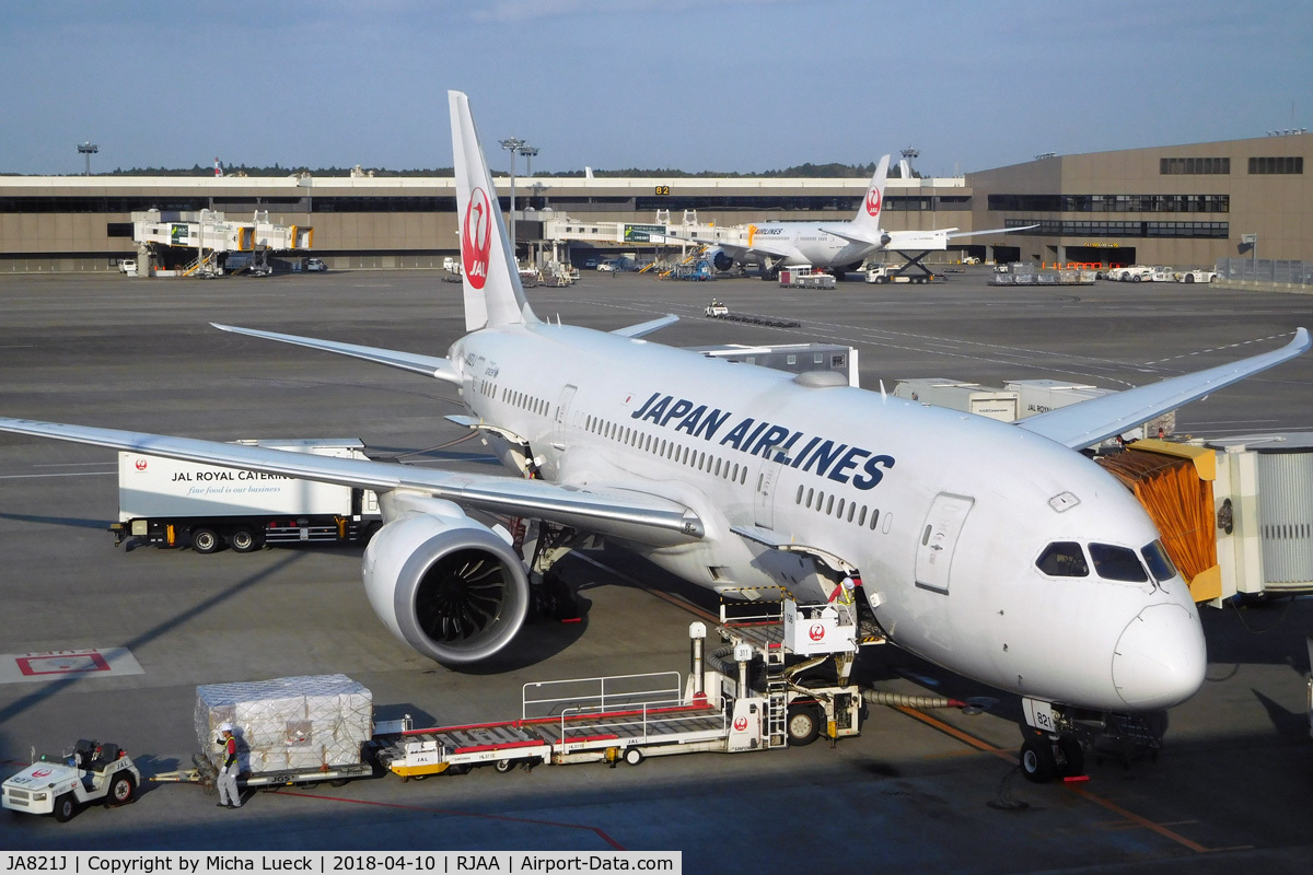 JA821J, 2010 Boeing 787-8 Dreamliner C/N 34831, At Narita