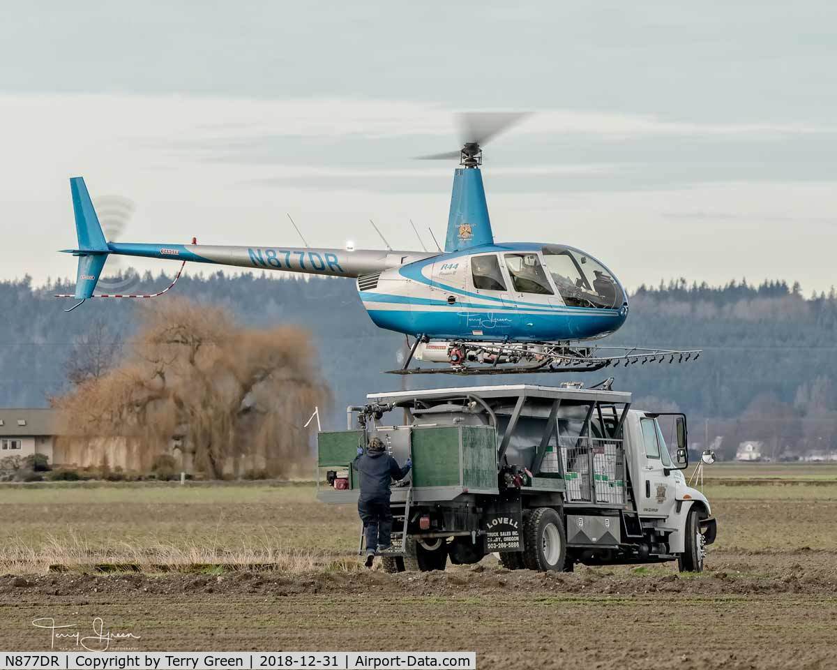 N877DR, 2008 Robinson R44 II C/N 12520, Central Valley Helicopters N877DR 2008 Robinson R44 II C/N 12520 doing aerial spraying in a field west of the intersection of Calhoun Road & Bradshaw Road, Skagit Valley, Skagit County Washington