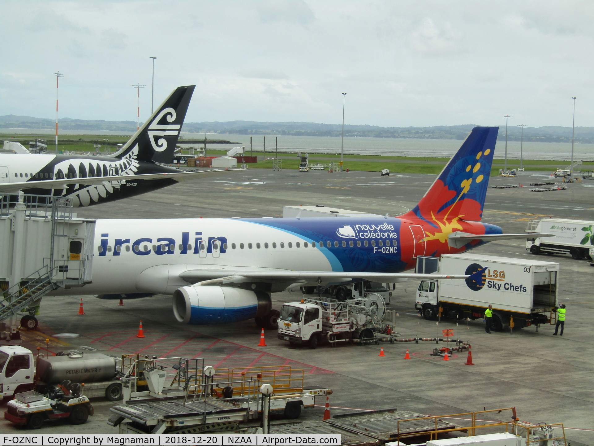 F-OZNC, 2008 Airbus A320-232 C/N 3547, ON stand at AKL