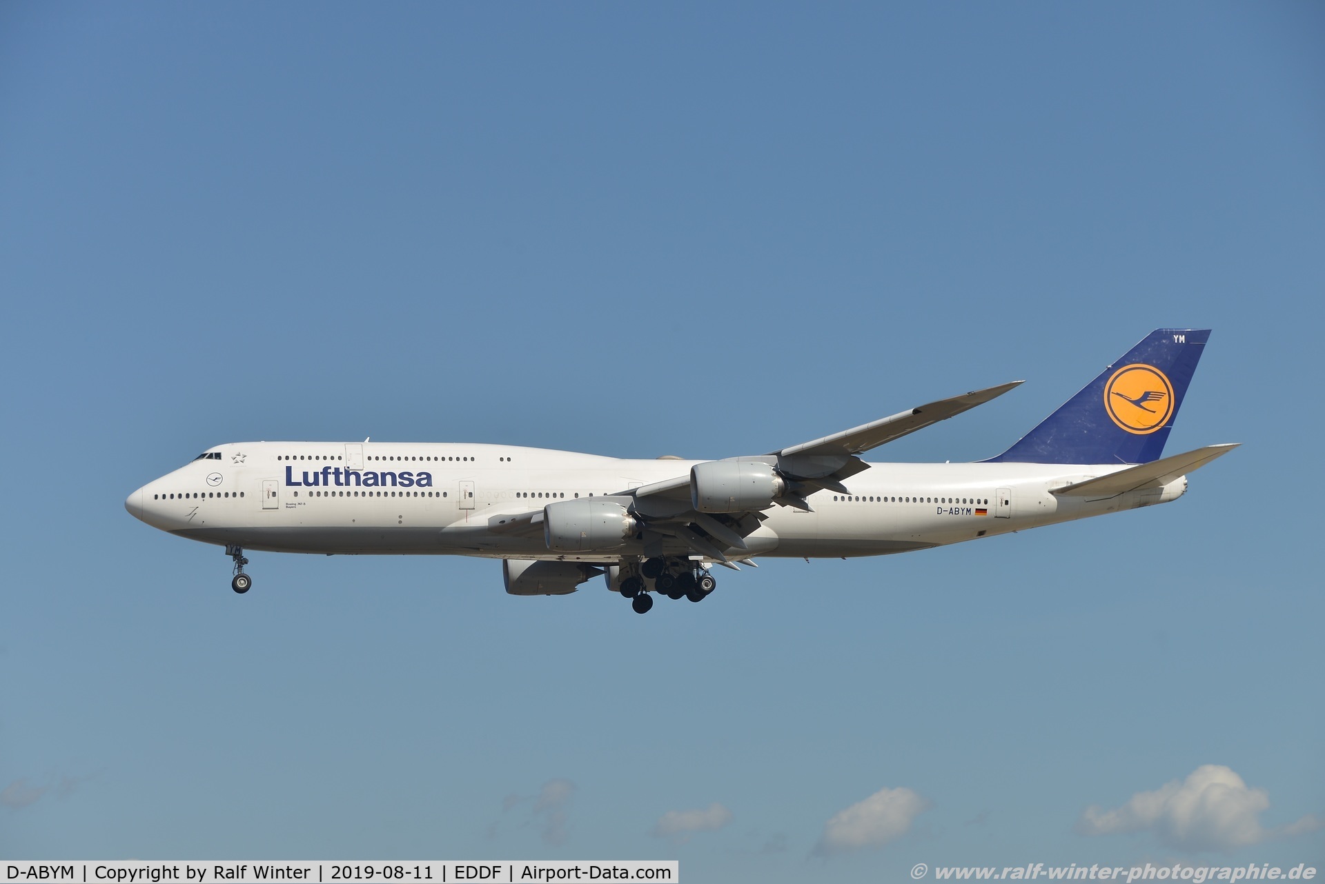D-ABYM, 2014 Boeing 747-830 C/N 37837, Boeing 747-830 - LH DLH Lufthansa 'Bayern' - 37837 - D-ABYM - 11.08.2019 - FRA