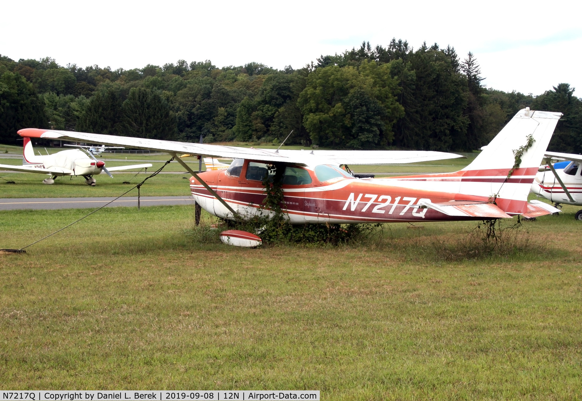 N7217Q, 1972 Cessna 172L C/N 17260517, Vegetation started growing around this old bird when I visited her, September 2019.