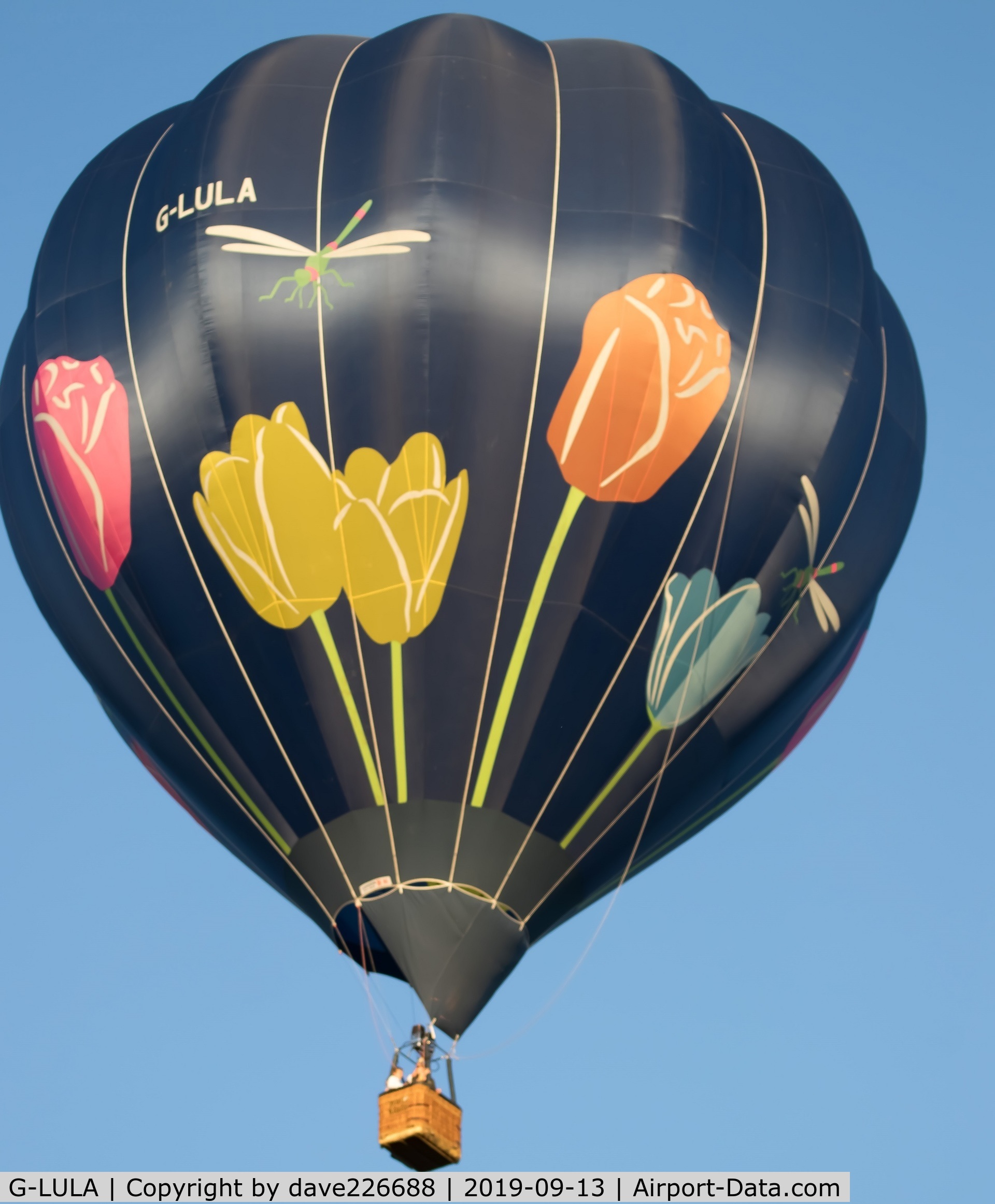 G-LULA, 2006 Cameron Balloons C-90 C/N 10833, G LULA at the 2019 Longleat Sky safari