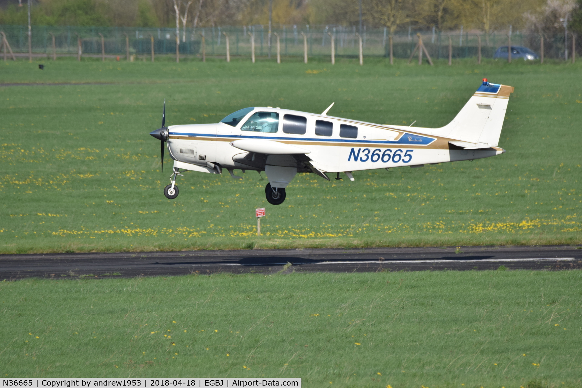 N36665, 1980 Beech A36 Bonanza 36 C/N E-1696, N36665 landing at Gloucestershire Airport.