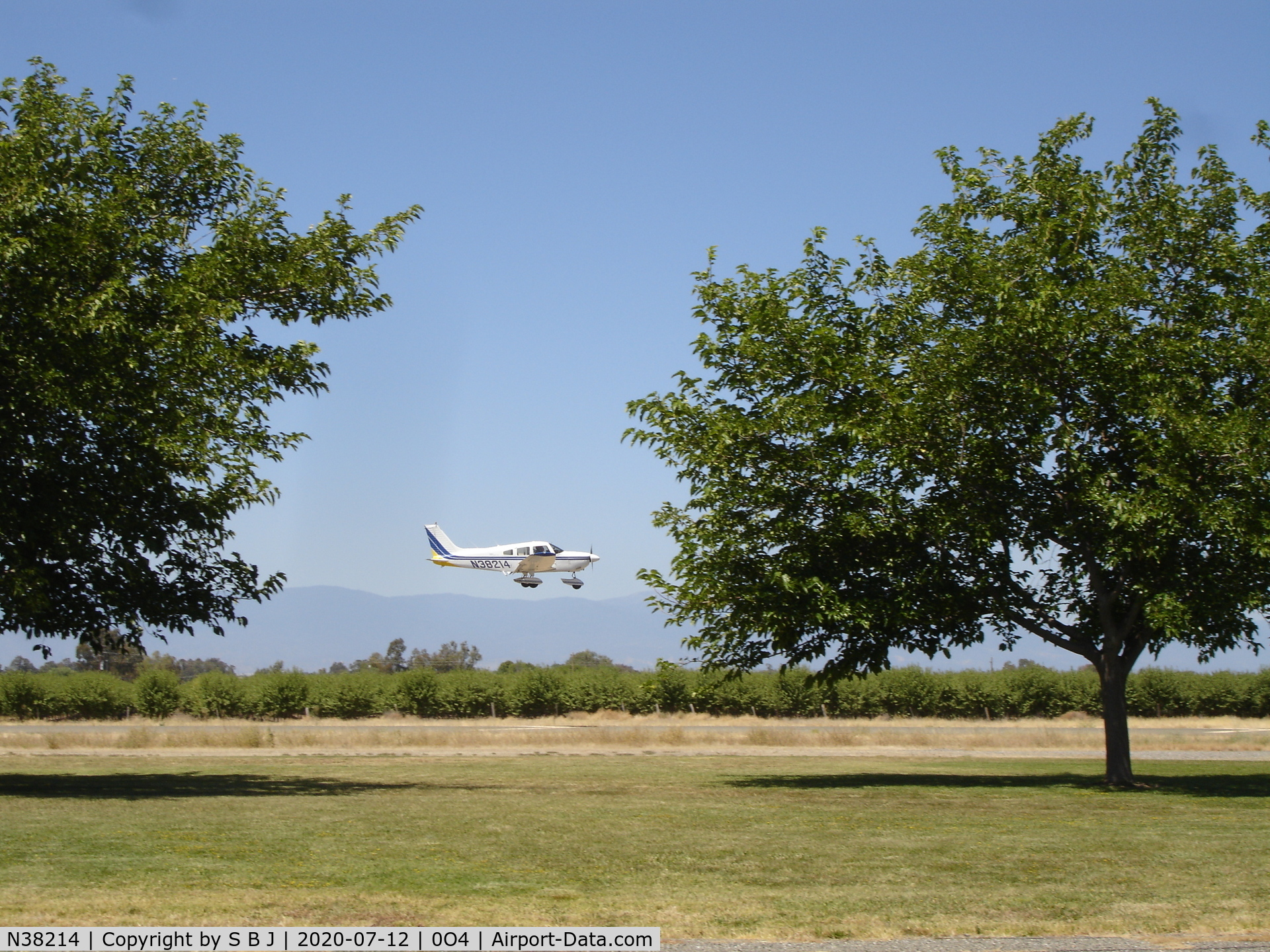 N38214, 1977 Piper PA-28-181 C/N 28-7790530, 214 on short final at Corning, Ca. airport.