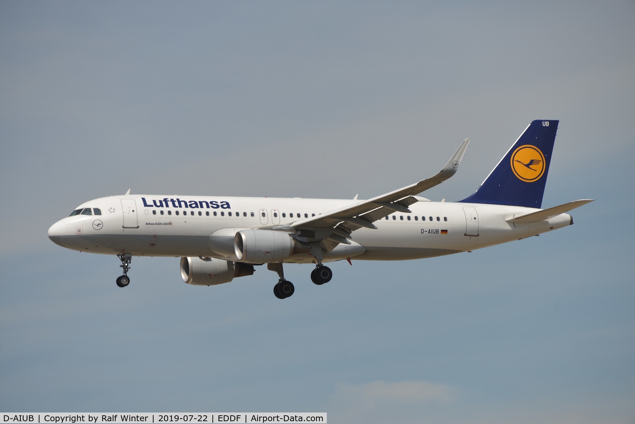 D-AIUB, 2014 Airbus A320-214 C/N 5972, Airbus A320-214(W) - LH DLH Lufthansa - 5972 - D-AIUB - 22.07.2019 - FRA
