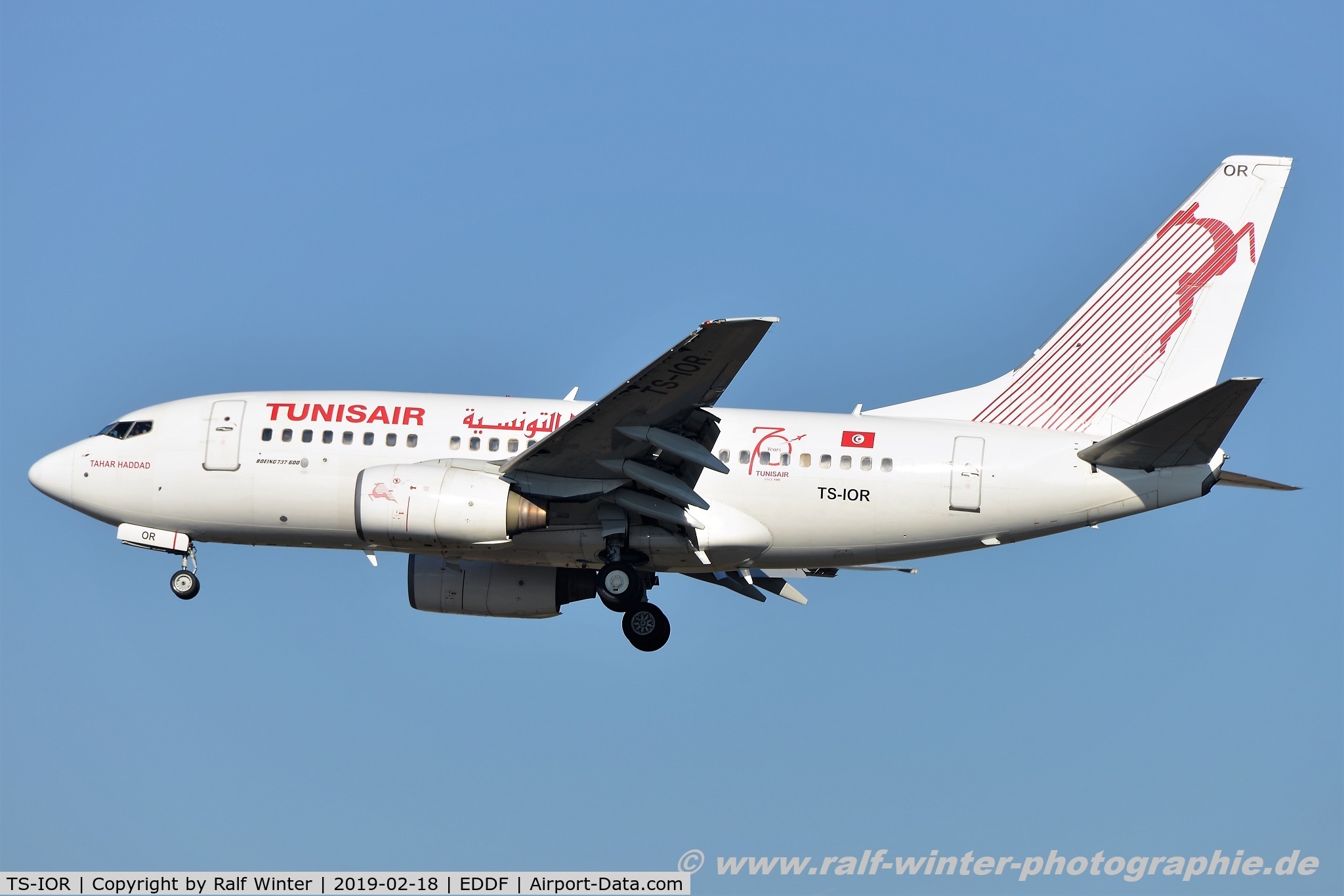 TS-IOR, 2001 Boeing 737-6H3 C/N 29502, Boeing 737-6H3 - TU TAR Tunisair 'Tahar Haddad' '75years' sticker - 29502 - TS-IOR - 18.02.2019 - FRA