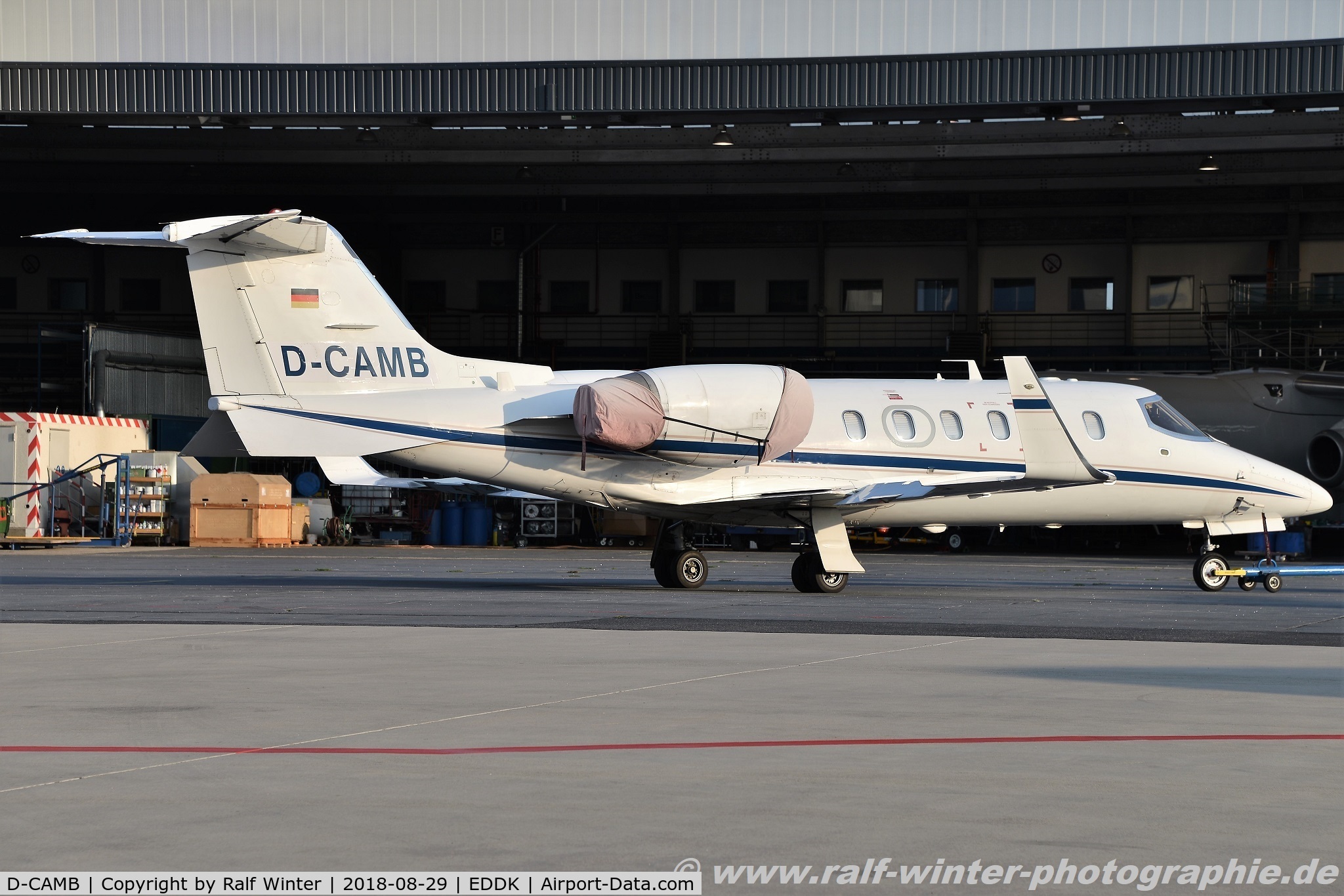 D-CAMB, 1998 Learjet 31A C/N 31-155, Learjet 31A - JCL Jetcall - 31-155 - D-CAMB - 29.08.2018 - CGN
