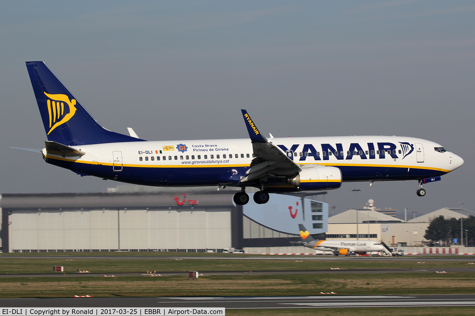 EI-DLI, 2006 Boeing 737-8AS C/N 33591, at bru