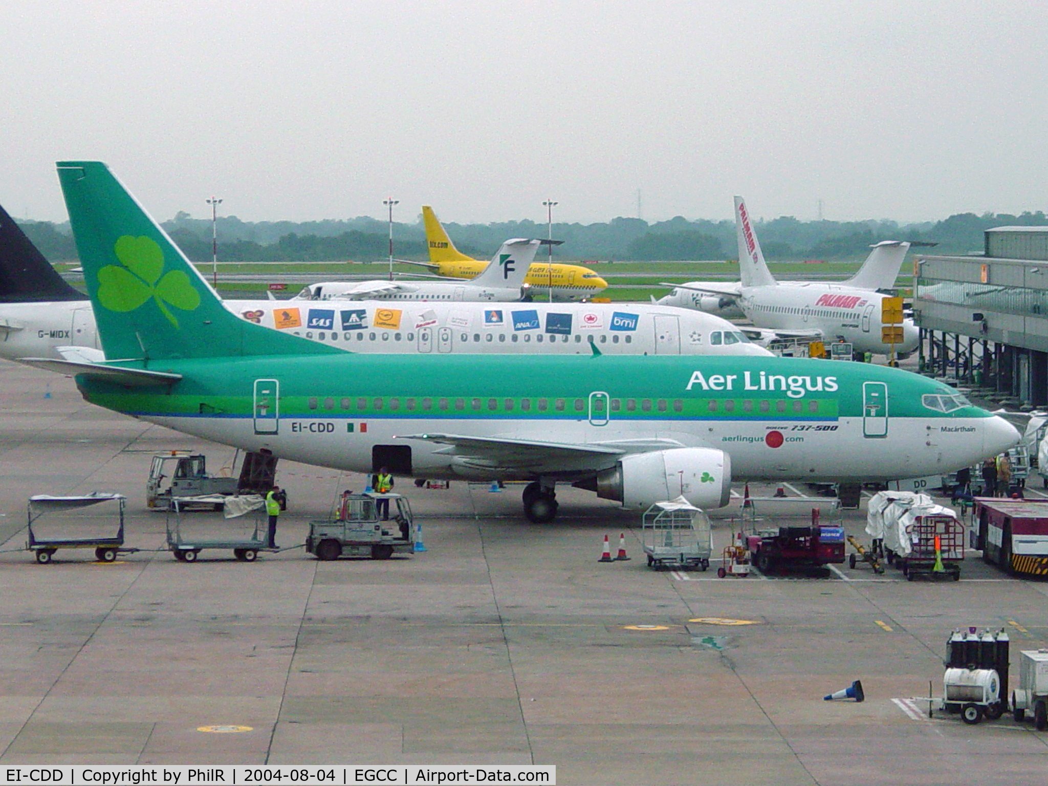 EI-CDD, 1991 Boeing 737-548 C/N 24989/1989, Aer Lingus B737-500 EI-CDD MAN