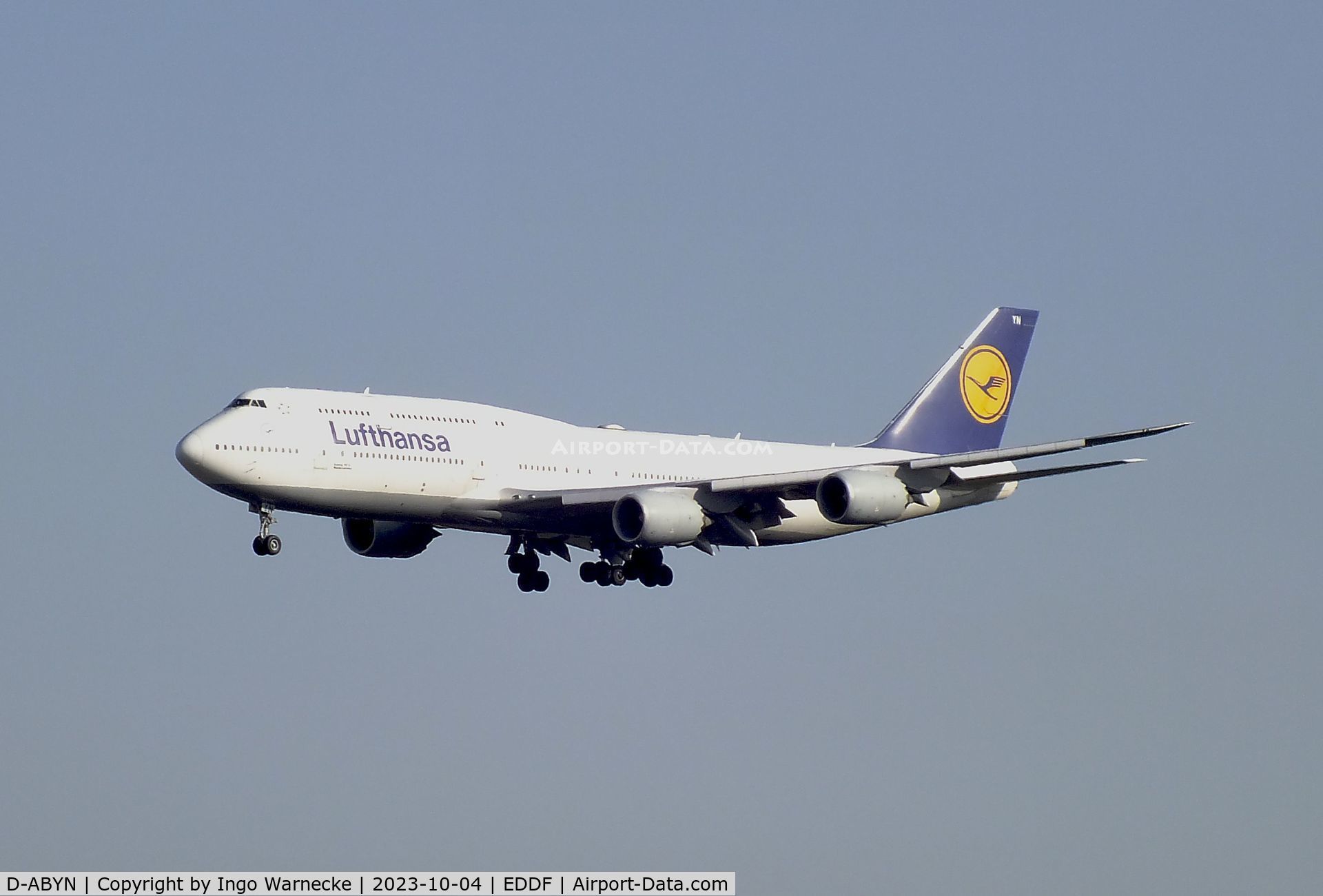 D-ABYN, 2014 Boeing 747-830 C/N 37838, Boeing 747-830 of Lufthansa on final approach to Frankfurt-Main airport