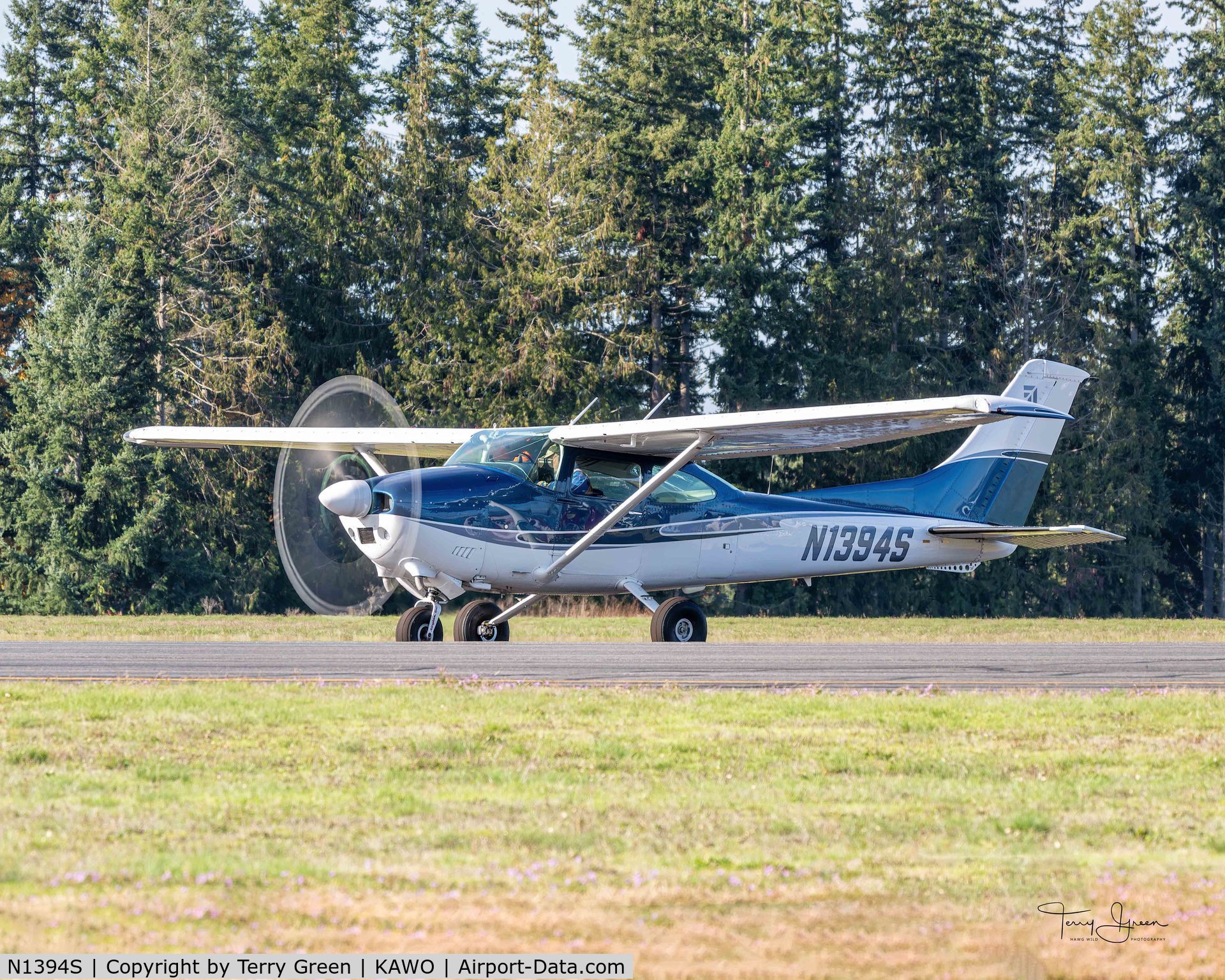 N1394S, 1976 Cessna 182P Skylane C/N 18264955, KAWO