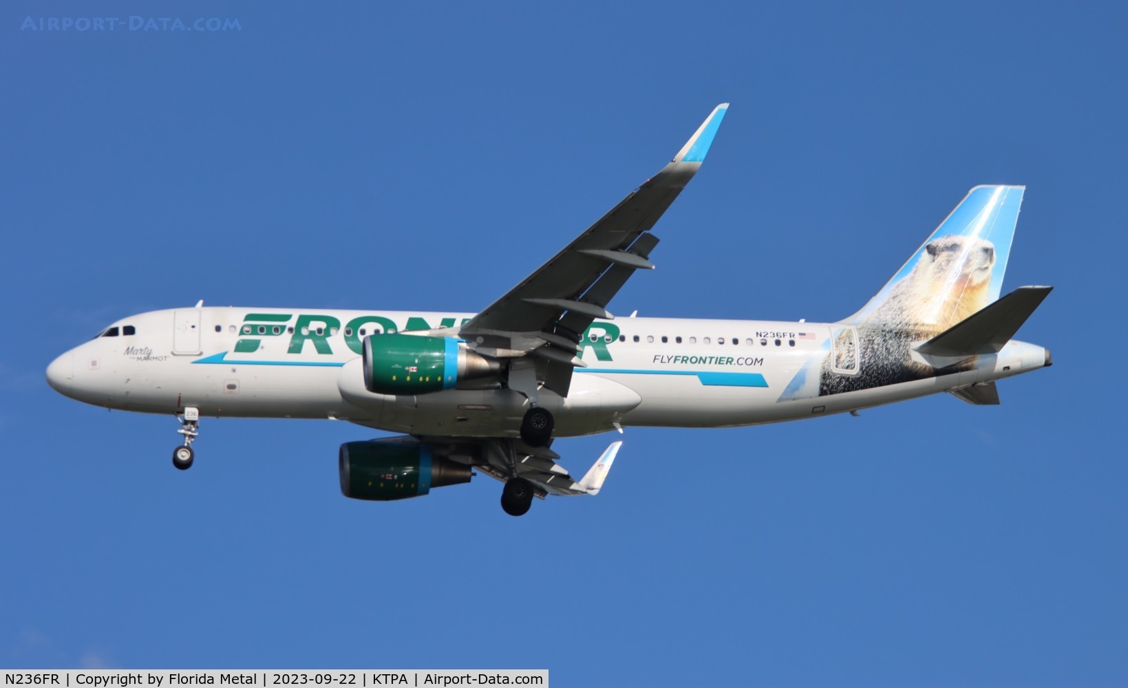 N236FR, 2016 Airbus A320-214 C/N 7389, FFT A320 Marty zx CLE-TPA