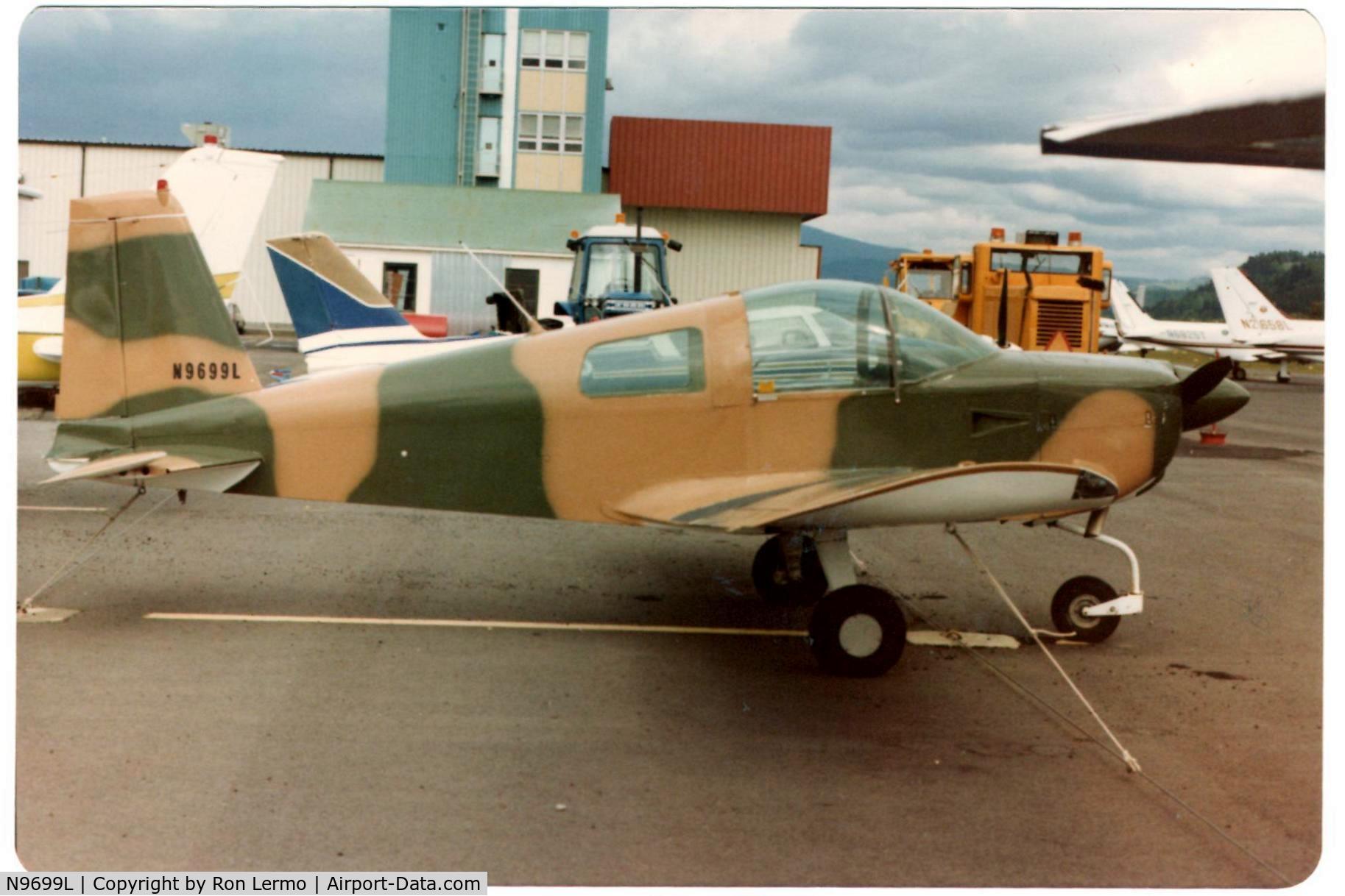 N9699L, 1973 Grumman American AA-1B Trainer C/N AA1B-0199, At Troutdale airport Portland Oregon