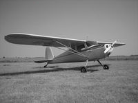 N1972V - N1972V in black and white - by unknown