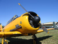 N421QB @ VCB - Painted as RCAF 421 #20421[close-up nose] - by Steve Nation
