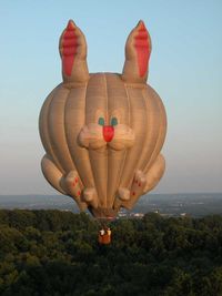 N90BR - Fred B Rabbit Hot Air Balloon - by Jon Radowski