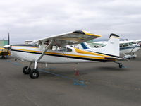 N185FT @ DVO - 1977 Cessna 185F at Gnoss Field, CA