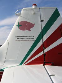 N200SA @ WVI - close-up of tail logo on Strawberry Aviation PA-23-160 Apache with mods at Watsonville, CA - by Steve Nation