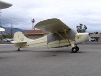 N2791E @ RHV - 1946 Aeronca 7AC between rainstorms at Reid-Hillview Airport, San Jose, CA - by Steve Nation