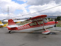 N88353 @ RHV - Amelia Reid Aviation 1975 Bellanca 7KCAB at Reid-Hillview Airport, San Jose, CA