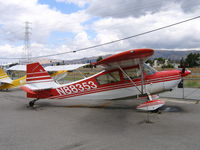 N88353 @ RHV - Amelia Reid Aviation 1975 Bellanca 7KCAB at Reid-Hillview Airport, San Jose, CA - by Steve Nation