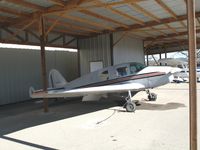 N74200 @ 1O2 - 1946 Bellanca 14-13 at Lampson Field (Lakeport), CA - by Steve Nation