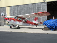 N50568 @ WVI - 1979 Bellanca 7GCBC in late afternoon sun @ Watsonville Municipal Airport, CA - by Steve Nation