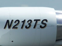 N213TS @ PDK - Tail Numbers - by Michael Martin