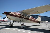 N8151A @ TOA - 1952 Cessna 170B N8151A at Torrance Municipal Airport (KTOA) - Torrance, California. - by Dean Heald