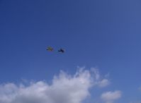 N4995C @ SZP - Yellow-winged North American T-6G TEXAN (1949 factory reman) 'Thirsty Girl' in echelon flight with another TEXAN - by Doug Robertson