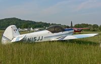 N15JJ @ FWN - Even on the ground among the tall grass, this sporty-looking plane looks fast. - by Daniel L. Berek