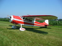 N1533D @ C55 - Cessna 195