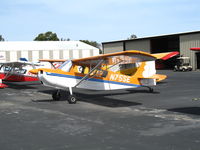 N75SE @ PAO - Andy's FS 2005 American Champion 7GCAA @ Palo Alto Municipal Airport, CA